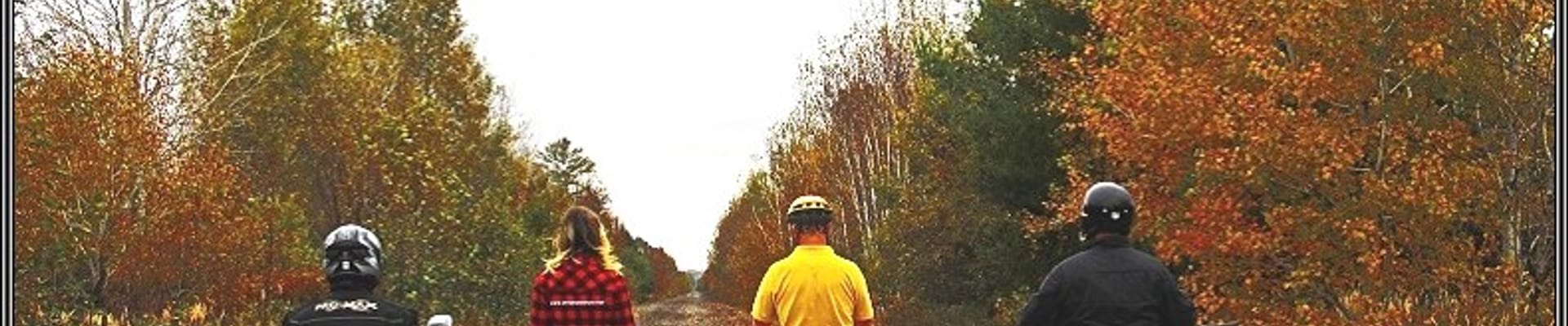 Developing for Everyone