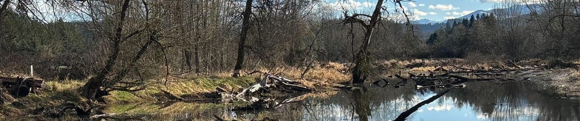 We're ready for launching the Lower Stevens Creek Restoration!