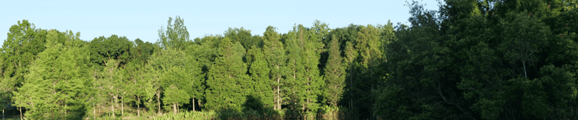 Image of South Lake Howard Nature Park