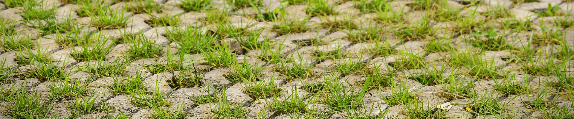 image of pervious pavers