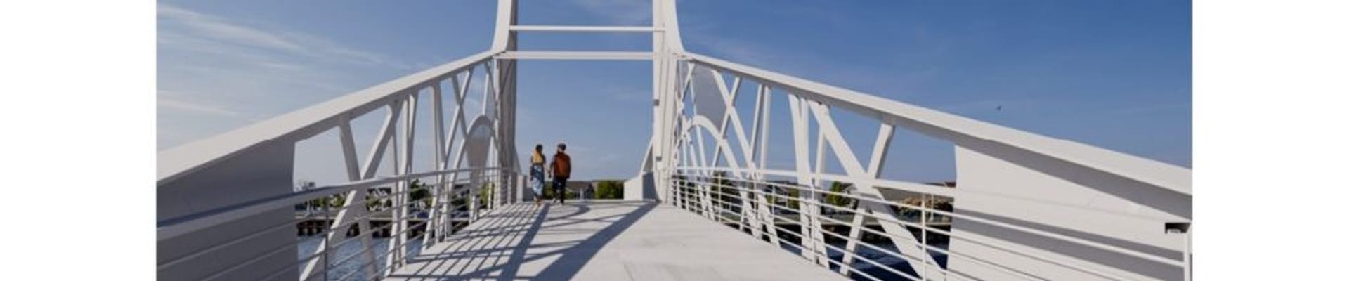 Image of Proposed Bridge