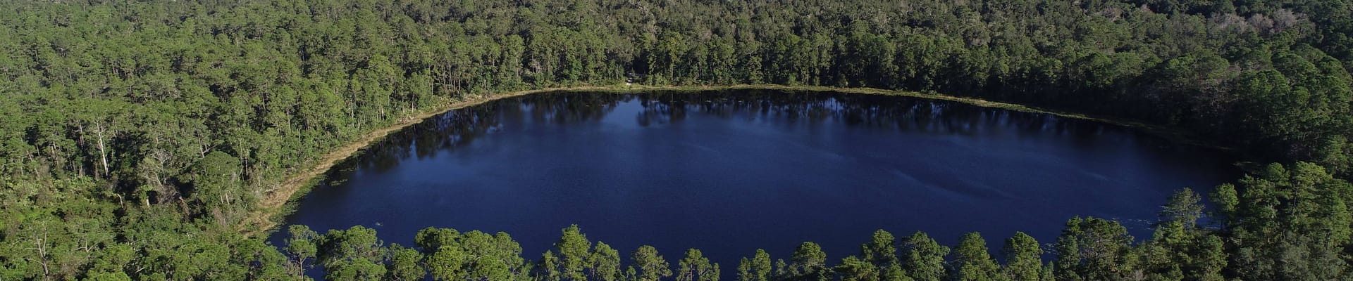 Parks and Recreation