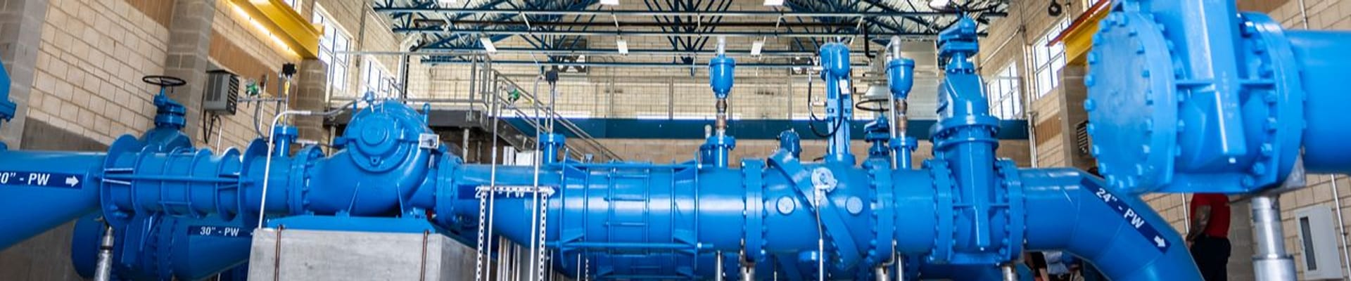 Water sprinkles watering grass