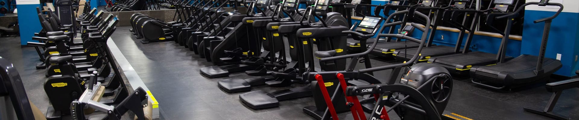 Cardio equipment in the recreation center.