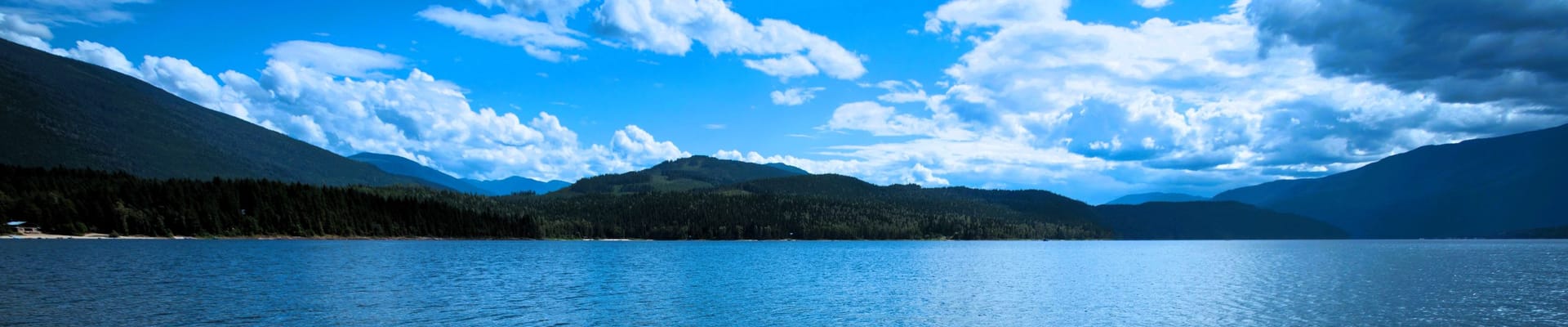 Electoral Area F Issues Identification Study