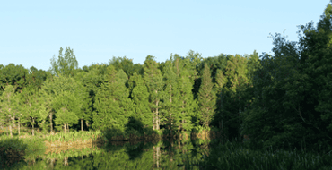 South Lake Howard Nature Park Expansion 