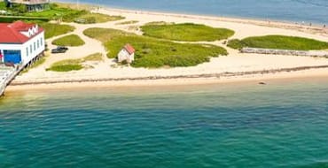 Environmental Leadership