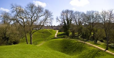 Image of a green with trees