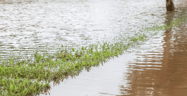 Public Notice Extreme Weather