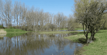 crossway park