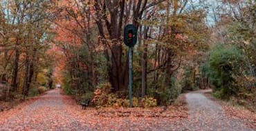 Constitution Trail 