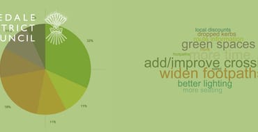 An image of an infographic with data in a pie chart and the Ryedale District Council logo with a green tint