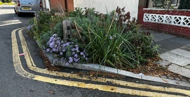 Image of planting buildouts