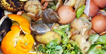 Food Scraps Drop-Off Program
