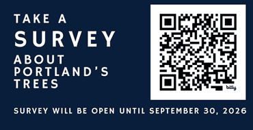 Portland Urban Forest Management Plan Community Survey 