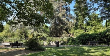 Image of park