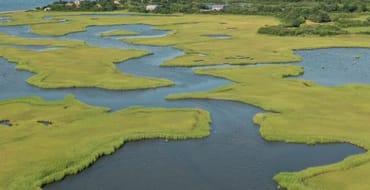 Climate and Resiliency