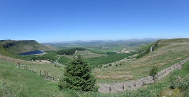 peatlands photo