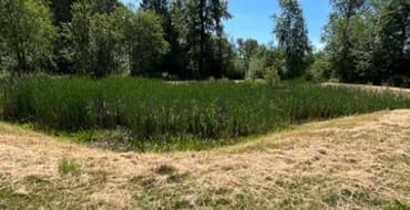 Private Stormwater Facility Page