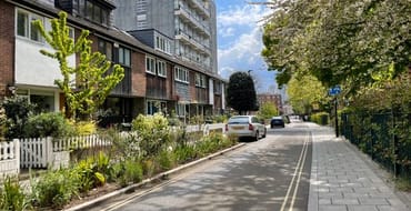 Image of pavement and cycle lane with planting