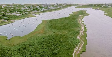 Harmful Algal Blooms Monitoring Program