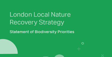 Image showing part of the cover of the Statement of Biodiversity Priorities. White text on a green background.