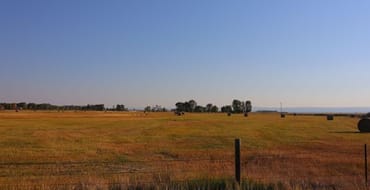 Open rural landscape in Albany County with grassy fields, scattered trees, and distant hills under a clear sky.