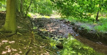 Stormwater Utility Fee - Flood Recovery