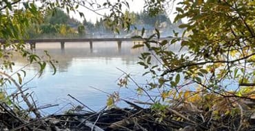 Water Quality Education