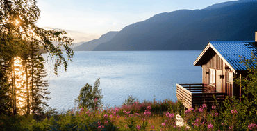 Short Term Accommodations Consultation