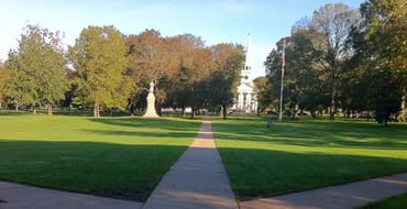 The Commerce of Cannabis 