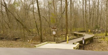 Flat Creek Boardwalk Repairs