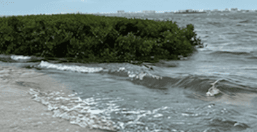 Protecting Our Coast: Facing Flood Risks Together