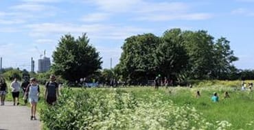 Image of Hackney Marshes in the Summer