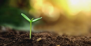 Comprehensive Environmental and Climate Action Plan