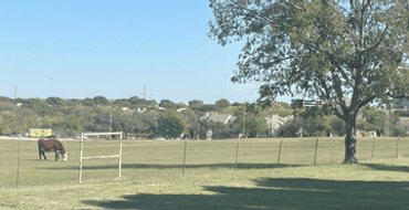 Ravenglass Park Master Plan