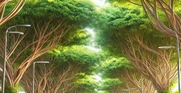 תכנית אסטרטגית לייעור והצללה באילת