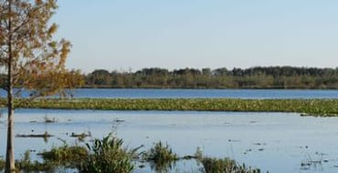 Chain of Lakes Park Trail & Additional Parking Project