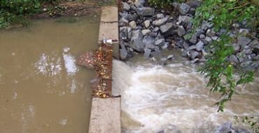 Walnut Spring Run Stream Restoration Project