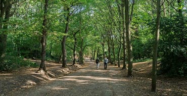 Demoville Climate Action Plan Questionnaire 