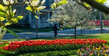 2025-2028 Neighborhood Drainage and Sewer System Repair Contract