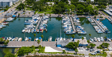 Dunedin Marina Update