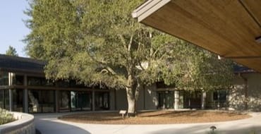 Amended Housing Element Draft