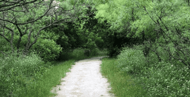 South Lakes Park Mountain Bike Trail Development