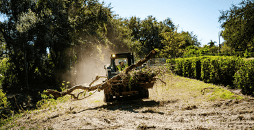 Vegetation and Debris Removal from Citywide Drainage Channels