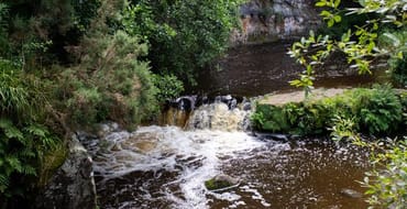 Garnock Valley Locality Profile