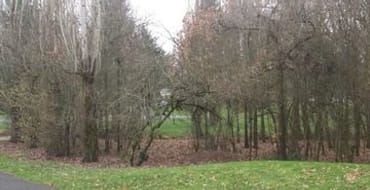 巴格利社区公园改造