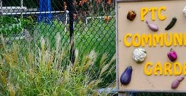 2023 Project 36 - Community Garden Site Redevelopment - 110 Kelly Dr