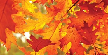 Strategic Plan 2023 to 2025