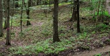 Recreation & Wellness Center Development Project